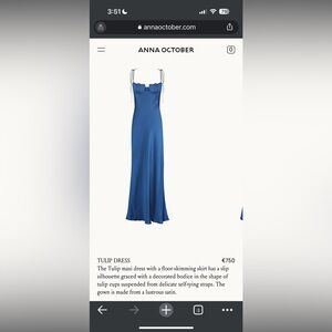 NWT Anna October Blue Tulip Dress Size S